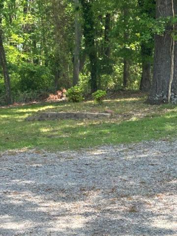Serene Retreat! 420 Friendly In Designated Area, 3 Minutes To Downtown Richmond Exterior photo